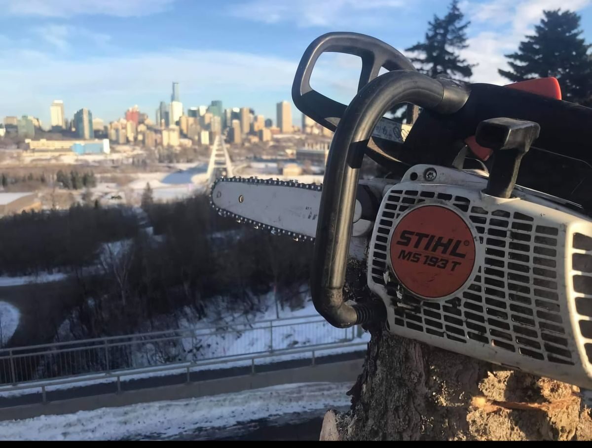 Stihl chainsaw resting on a freshly cut stump above the Edmonton river valley in winter, city skyline behind